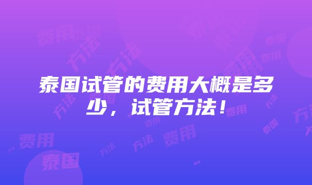 泰国试管的费用大概是多少，试管方法！