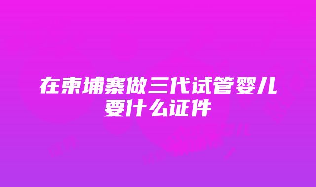 在柬埔寨做三代试管婴儿要什么证件