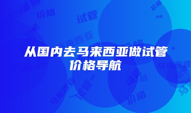 从国内去马来西亚做试管价格导航