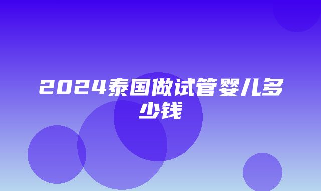 2024泰国做试管婴儿多少钱