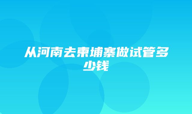 从河南去柬埔寨做试管多少钱