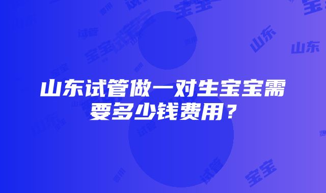 山东试管做一对生宝宝需要多少钱费用？