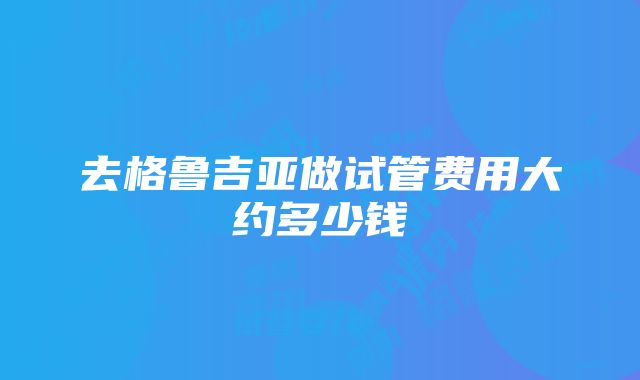 去格鲁吉亚做试管费用大约多少钱