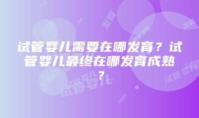 试管婴儿需要在哪发育？试管婴儿最终在哪发育成熟？