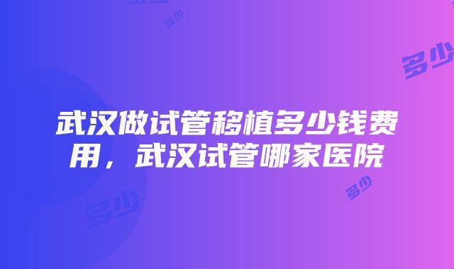 武汉做试管移植多少钱费用，武汉试管哪家医院