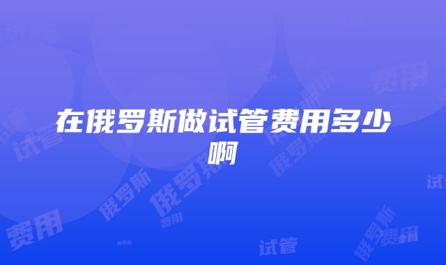 在俄罗斯做试管费用多少啊