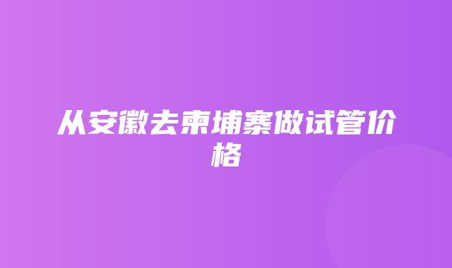 从安徽去柬埔寨做试管价格