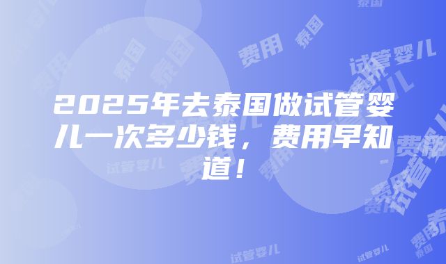 2025年去泰国做试管婴儿一次多少钱，费用早知道！