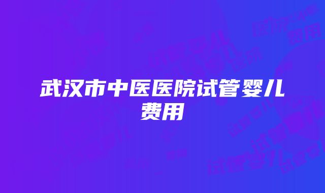 武汉市中医医院试管婴儿费用