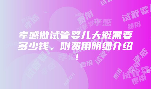 孝感做试管婴儿大概需要多少钱，附费用明细介绍！