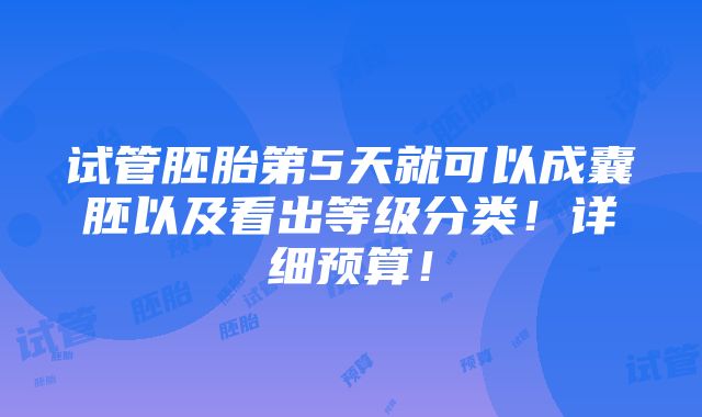 试管胚胎第5天就可以成囊胚以及看出等级分类！详细预算！