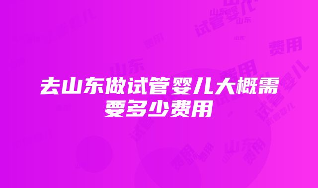 去山东做试管婴儿大概需要多少费用