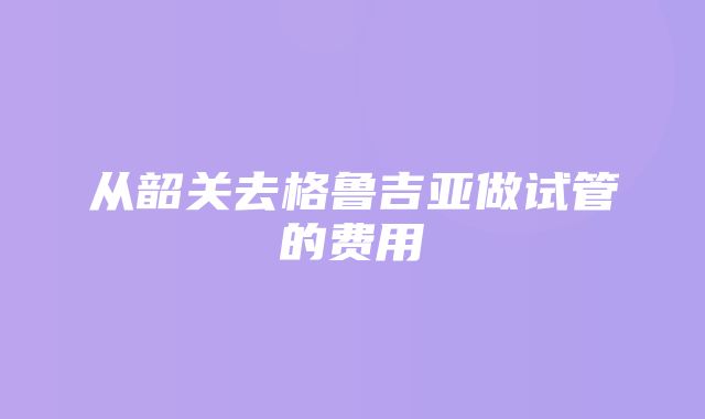 从韶关去格鲁吉亚做试管的费用