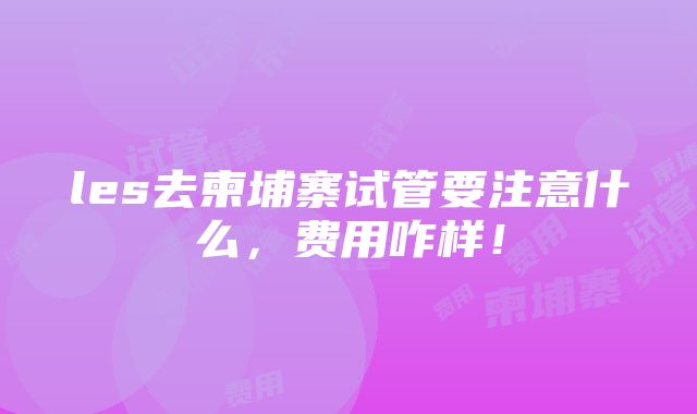 les去柬埔寨试管要注意什么，费用咋样！