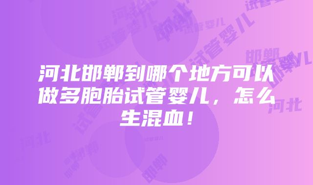 河北邯郸到哪个地方可以做多胞胎试管婴儿，怎么生混血！