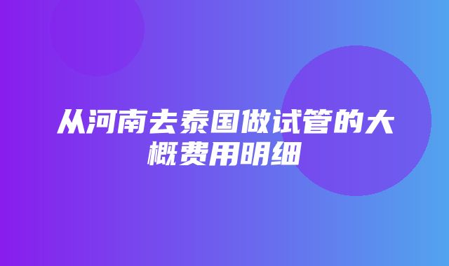 从河南去泰国做试管的大概费用明细