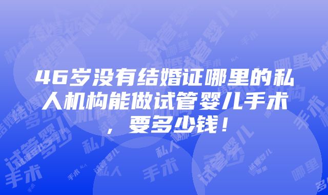 46岁没有结婚证哪里的私人机构能做试管婴儿手术，要多少钱！