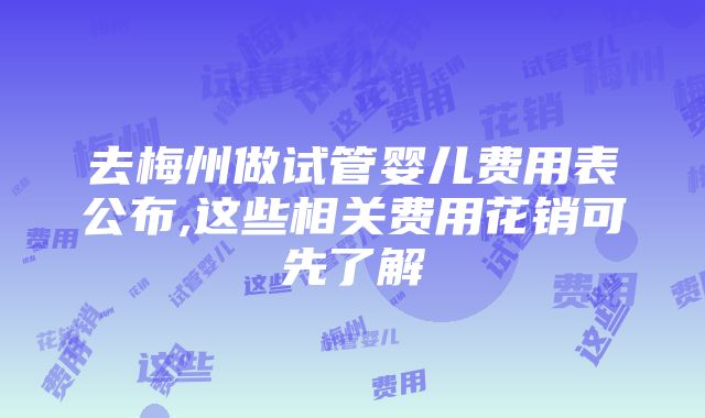 去梅州做试管婴儿费用表公布,这些相关费用花销可先了解