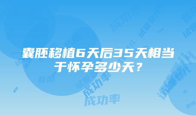 囊胚移植6天后35天相当于怀孕多少天？