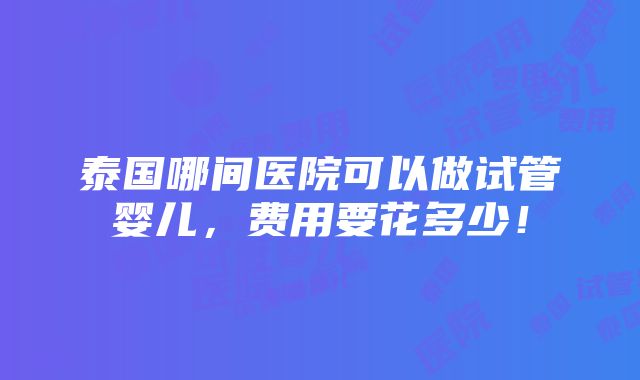 泰国哪间医院可以做试管婴儿，费用要花多少！