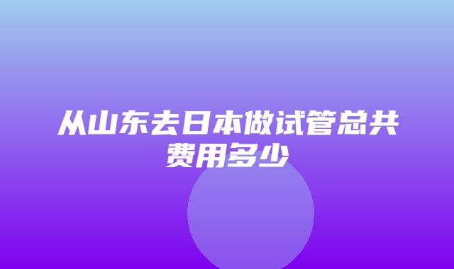 从山东去日本做试管总共费用多少