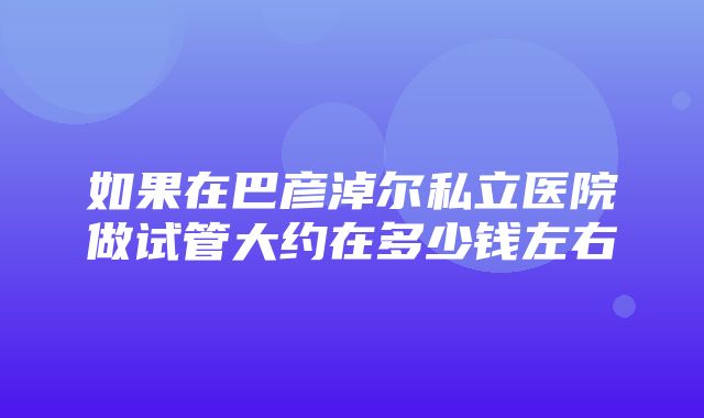 如果在巴彦淖尔私立医院做试管大约在多少钱左右