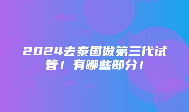 2024去泰国做第三代试管！有哪些部分！