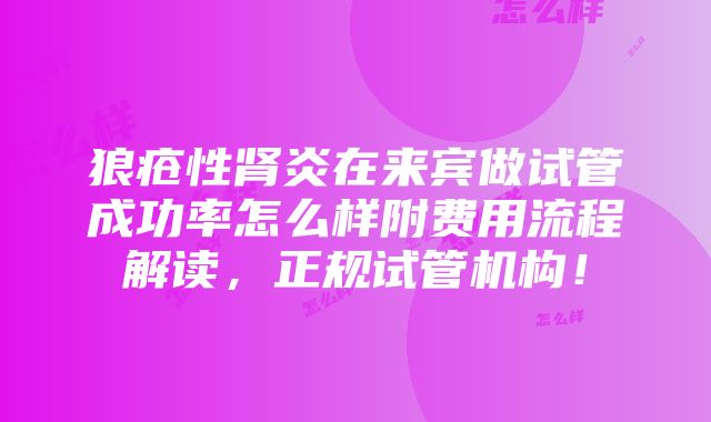 狼疮性肾炎在来宾做试管成功率怎么样附费用流程解读，正规试管机构！