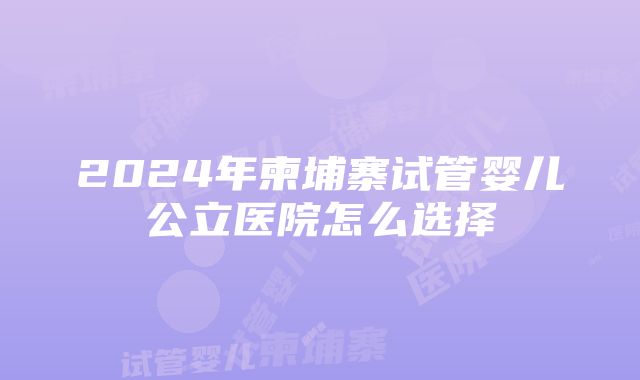 2024年柬埔寨试管婴儿公立医院怎么选择