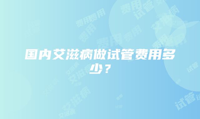 国内艾滋病做试管费用多少？