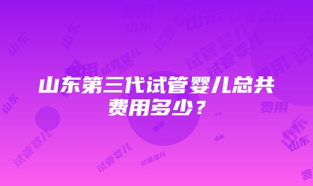 山东第三代试管婴儿总共费用多少？