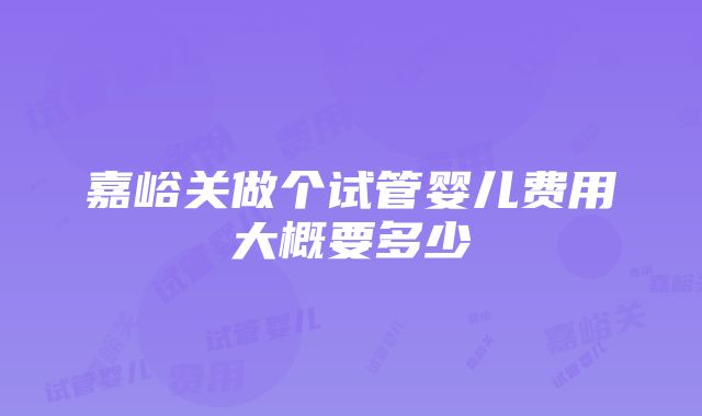 嘉峪关做个试管婴儿费用大概要多少