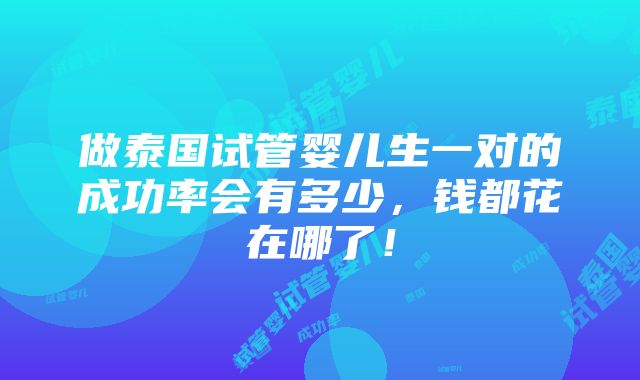 做泰国试管婴儿生一对的成功率会有多少，钱都花在哪了！