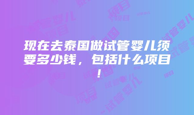 现在去泰国做试管婴儿须要多少钱，包括什么项目！