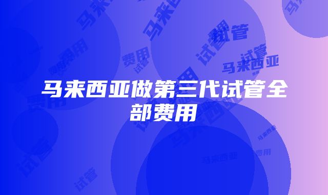 马来西亚做第三代试管全部费用