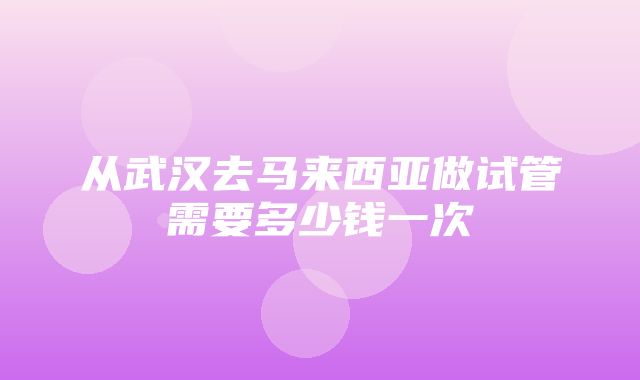 从武汉去马来西亚做试管需要多少钱一次