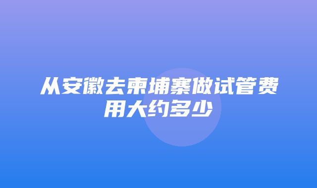 从安徽去柬埔寨做试管费用大约多少