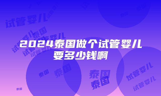 2024泰国做个试管婴儿要多少钱啊