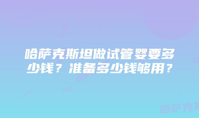 哈萨克斯坦做试管婴要多少钱？准备多少钱够用？