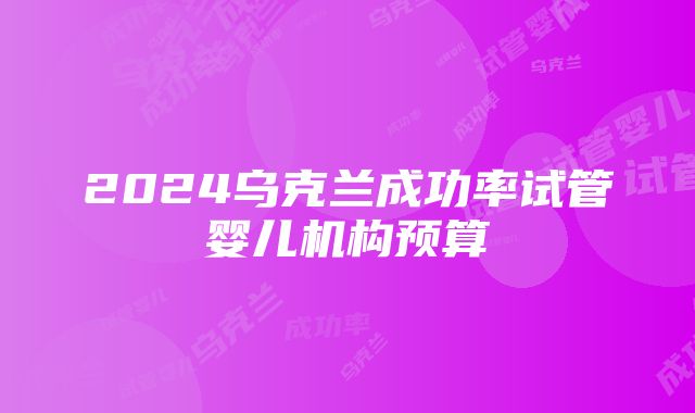 2024乌克兰成功率试管婴儿机构预算