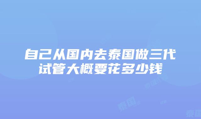 自己从国内去泰国做三代试管大概要花多少钱