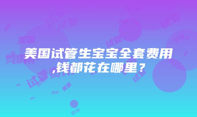 美国试管生宝宝全套费用,钱都花在哪里？