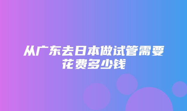 从广东去日本做试管需要花费多少钱