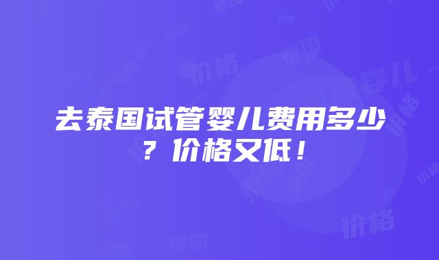 去泰国试管婴儿费用多少？价格又低！