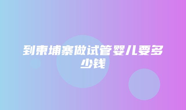 到柬埔寨做试管婴儿要多少钱