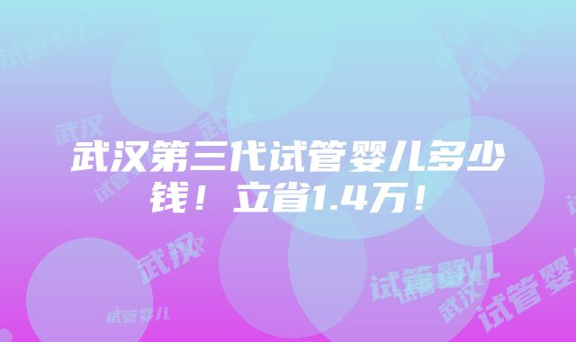 武汉第三代试管婴儿多少钱！立省1.4万！