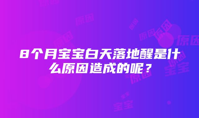 8个月宝宝白天落地醒是什么原因造成的呢？