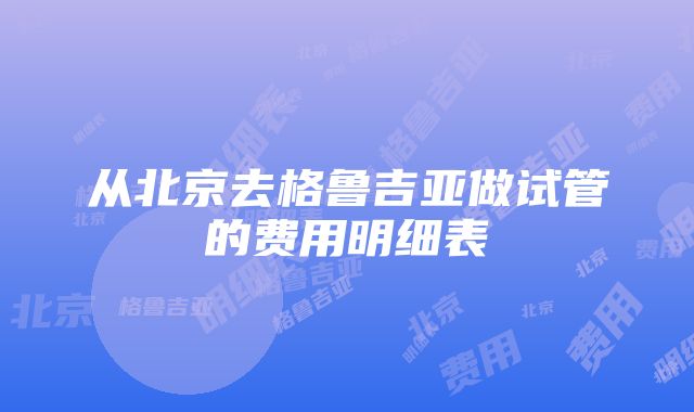 从北京去格鲁吉亚做试管的费用明细表