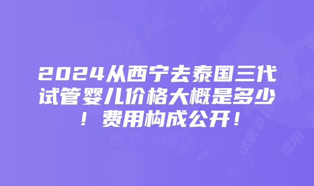 2024从西宁去泰国三代试管婴儿价格大概是多少！费用构成公开！