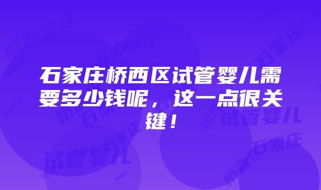 石家庄桥西区试管婴儿需要多少钱呢，这一点很关键！